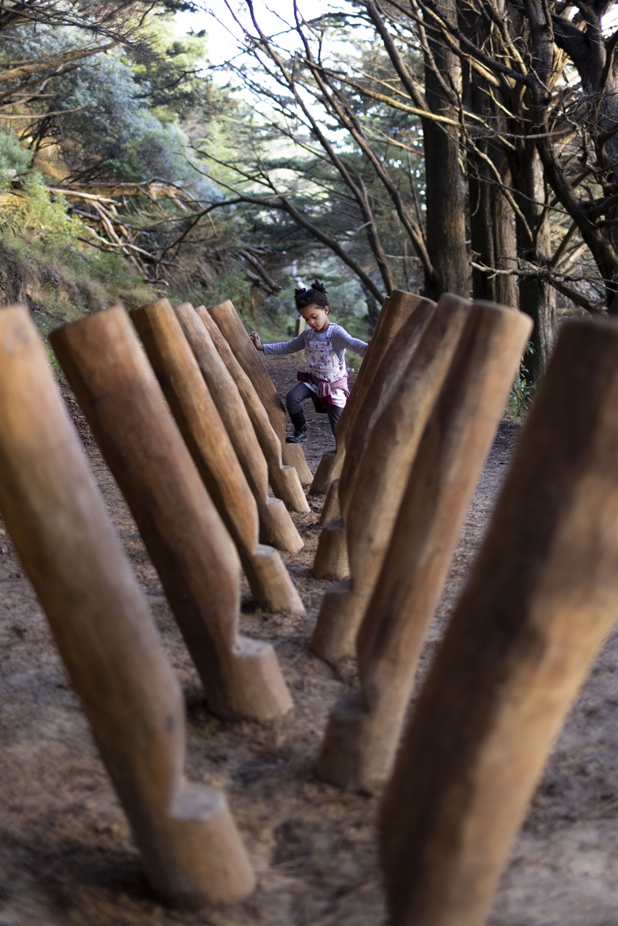 Why Coastal Walkways Need More Than a Good View