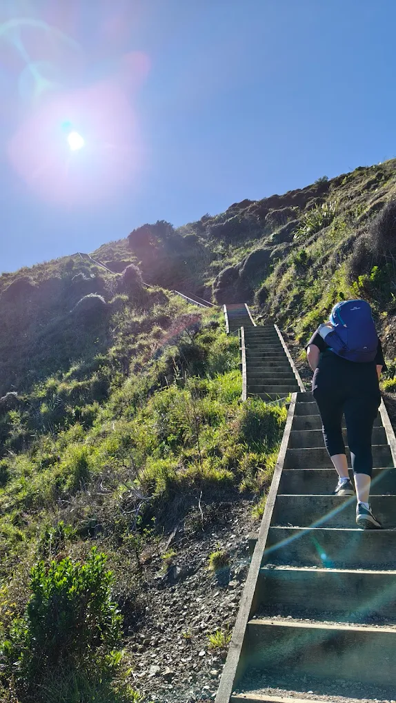 A worker climbing engineered steel access steps on a steep, sunlit Wellington coastal slope